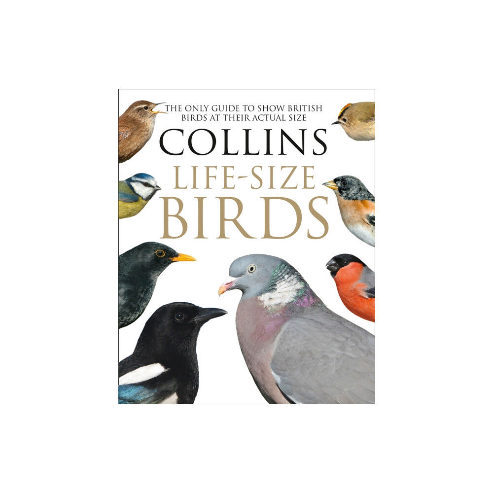 HarperCollins Publishers Collins Life-Size Birds (inbunden, eng)