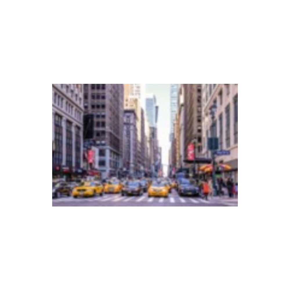 Robert Frederick 1000 Piece Jigsaw Puzzle Double Sided - Views Of New York (häftad, eng)