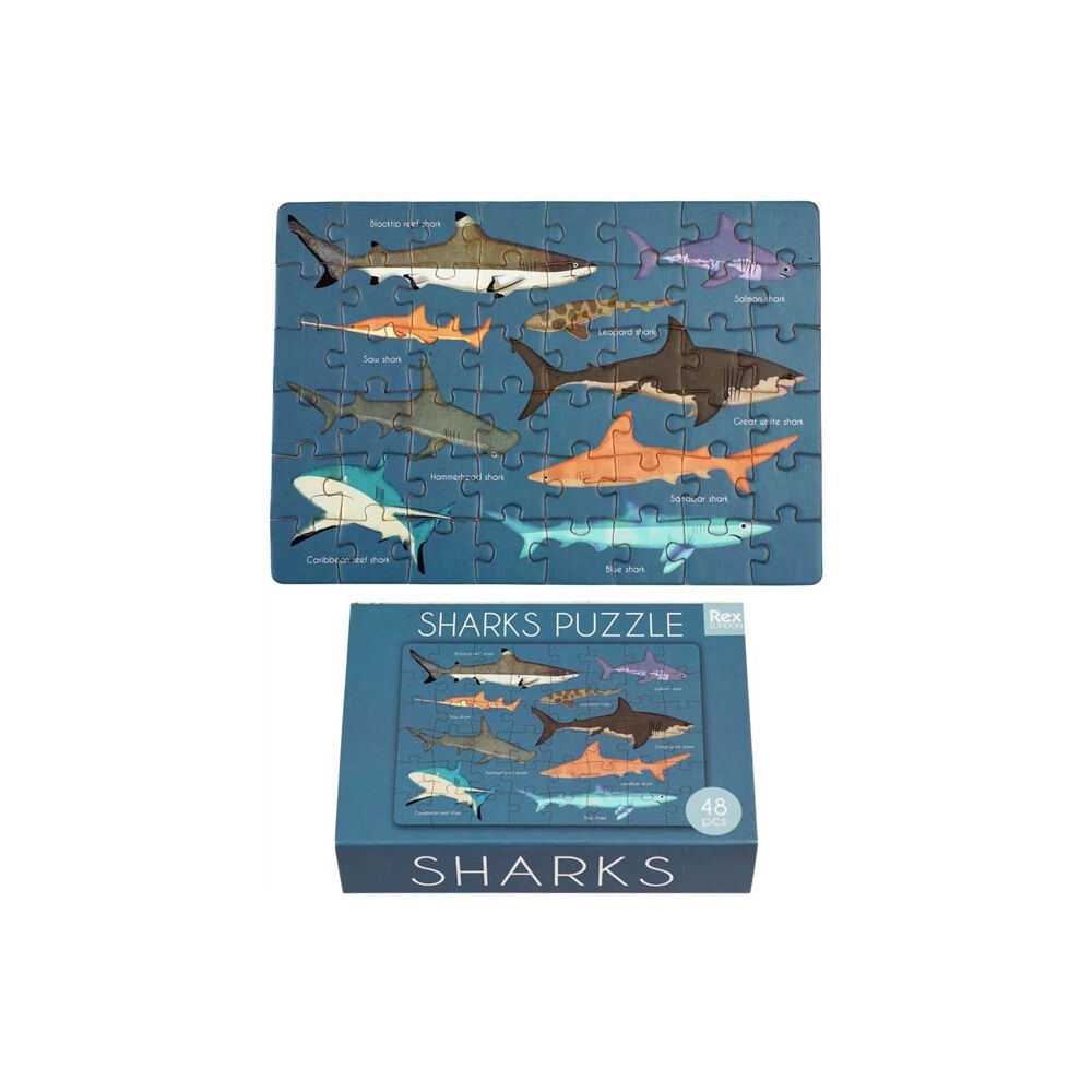 REX LONDON Matchbox jigsaw puzzle - Sharks
