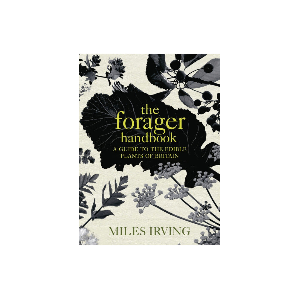 Ebury Publishing The Forager Handbook (inbunden, eng)