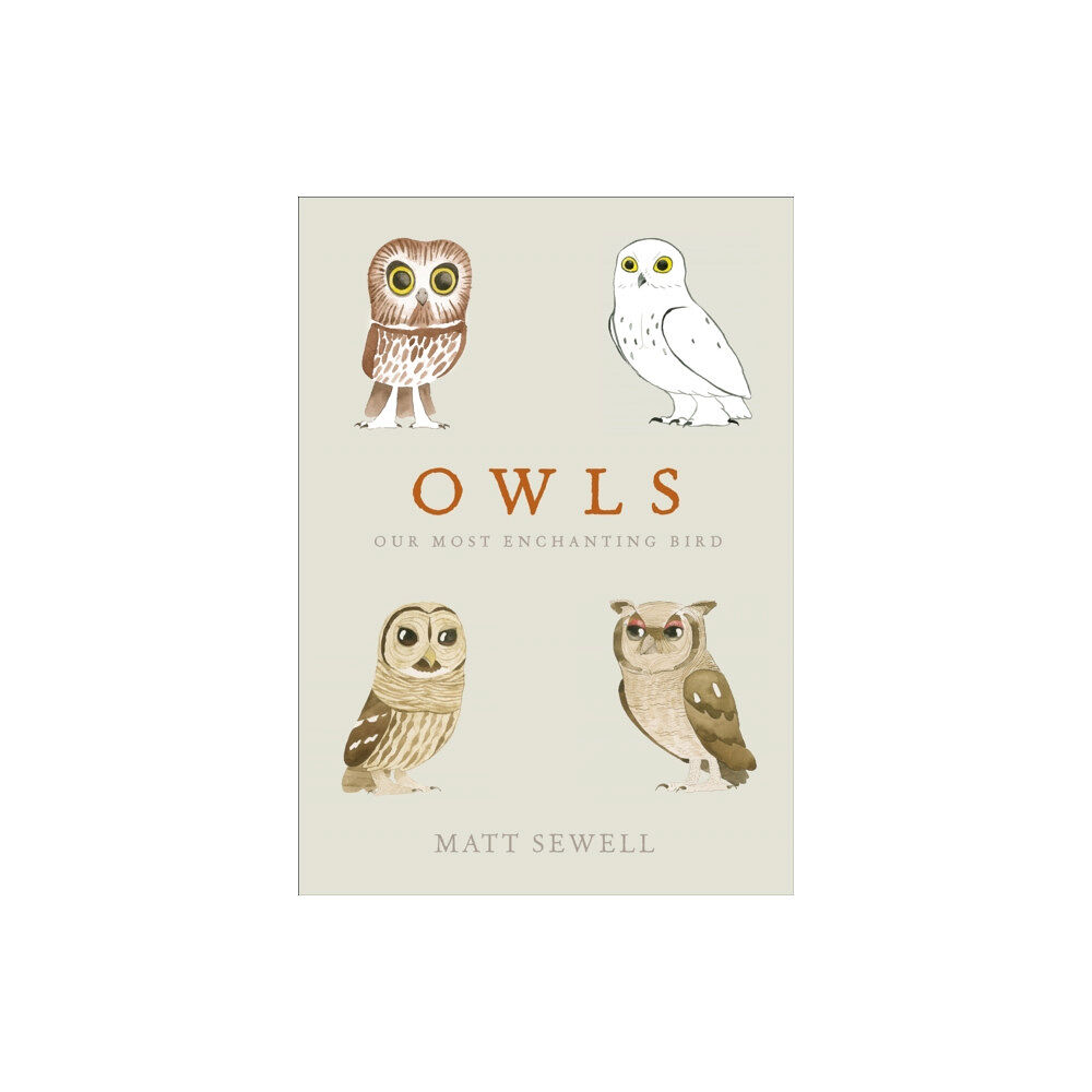 Ebury Publishing Owls (inbunden, eng)