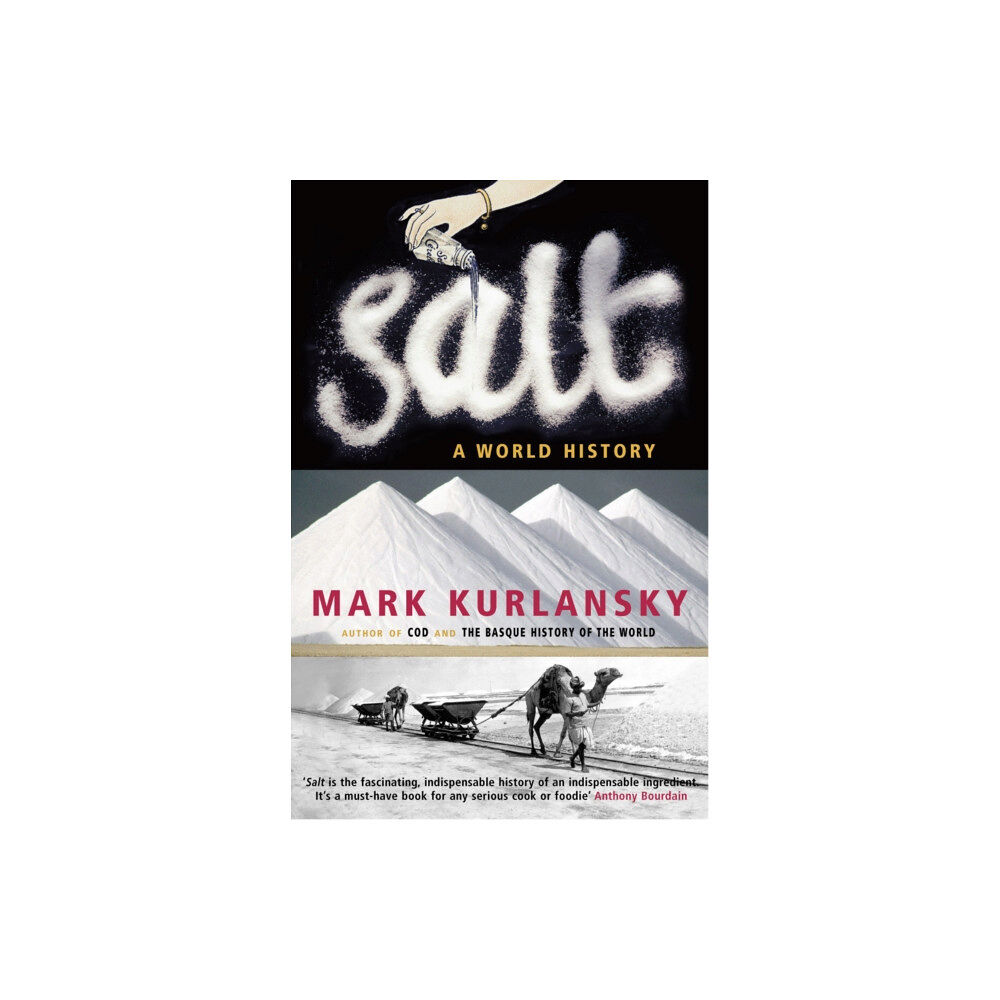 Vintage Publishing Salt (häftad, eng)