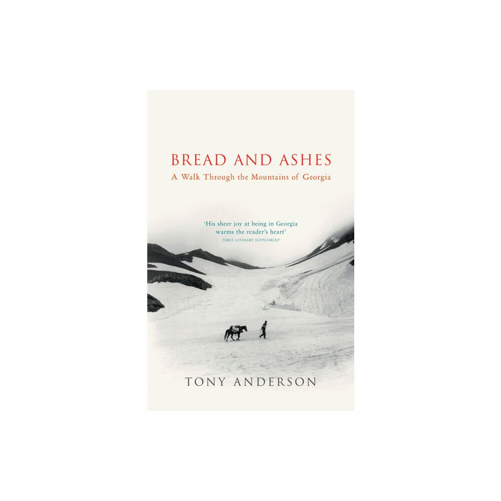 Vintage Publishing Bread And Ashes (häftad, eng)