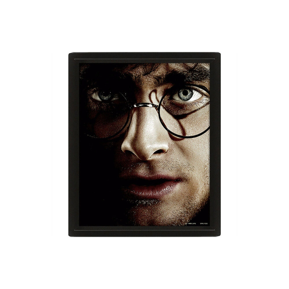 Pyramid International Harry Potter (Harry Vs Voldemort) - Framed (häftad, eng)