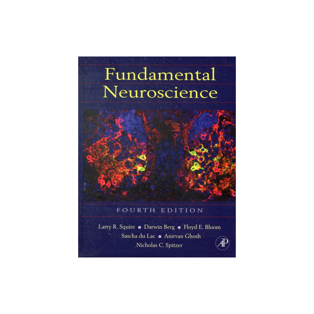 Elsevier Science Publishing Co Inc Fundamental Neuroscience (inbunden, eng)