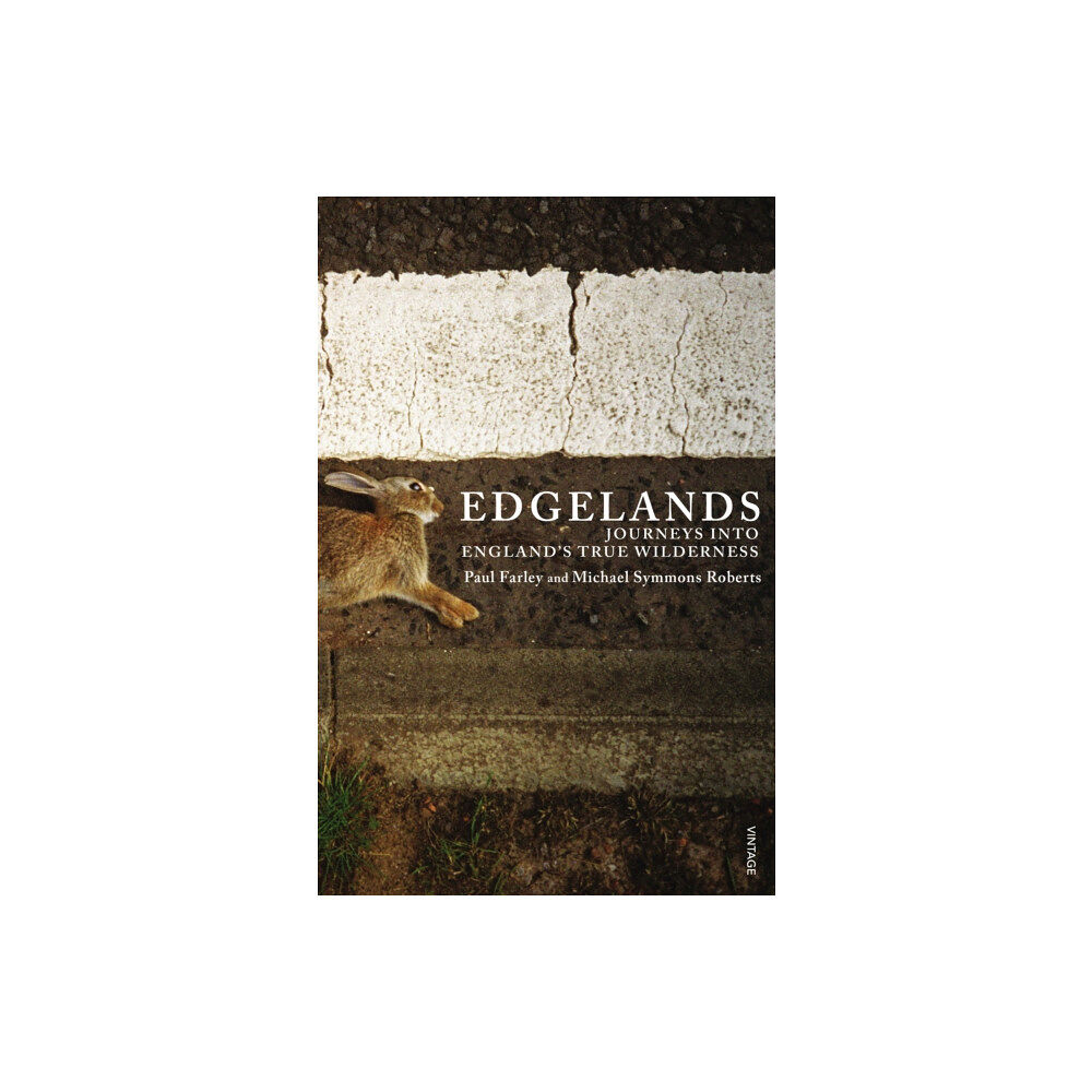 Vintage Publishing Edgelands (häftad, eng)