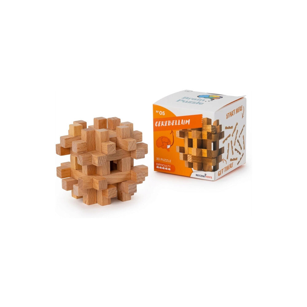 Recent Toys Brain Puzzle #05 Game