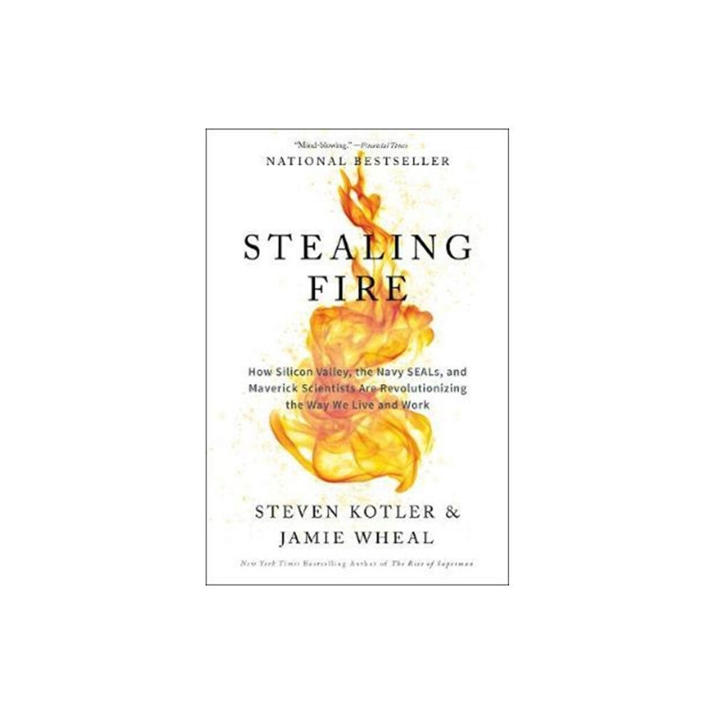 Harpercollins publishers inc Stealing Fire (häftad, eng)