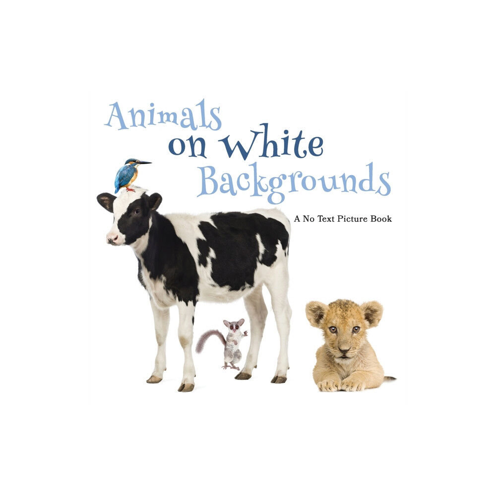 Independently Published Animals on White Backgrounds, A No Text Picture Book (häftad, eng)