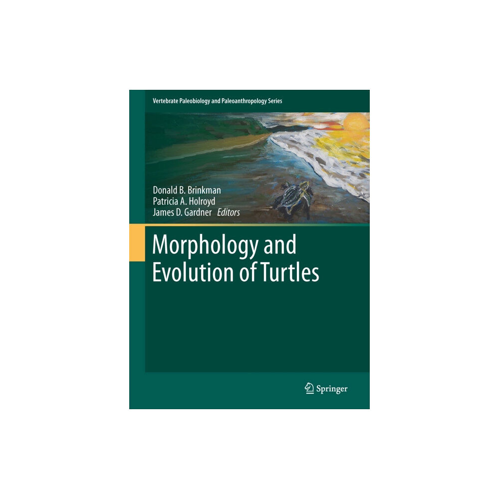 SPRINGER Morphology and Evolution of Turtles (inbunden, eng)