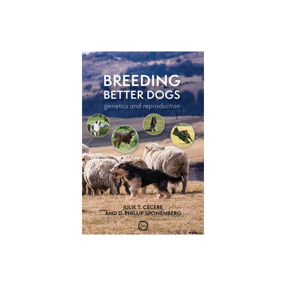 5M Books Ltd Breeding Better Dogs (häftad, eng)