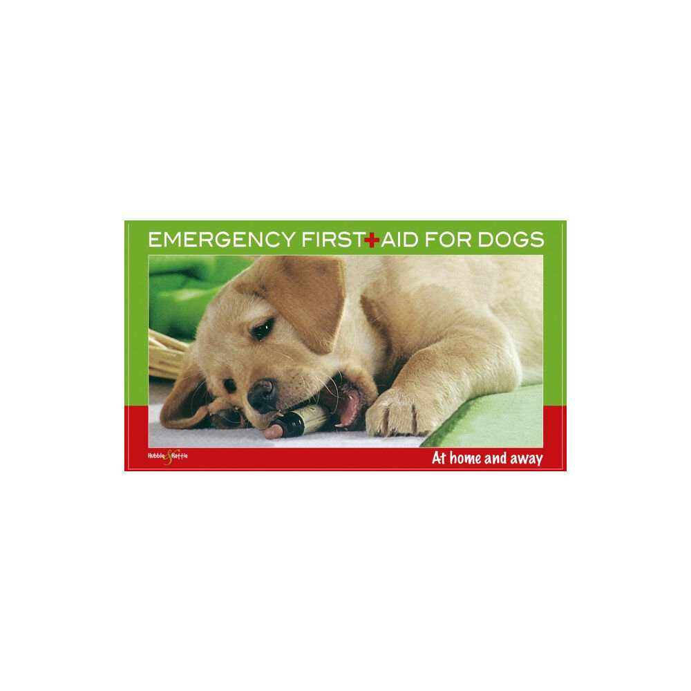 David & Charles Emergency First for Dogs (häftad, eng)