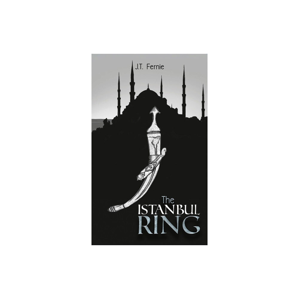 Austin Macauley Publishers The Istanbul Ring (häftad, eng)