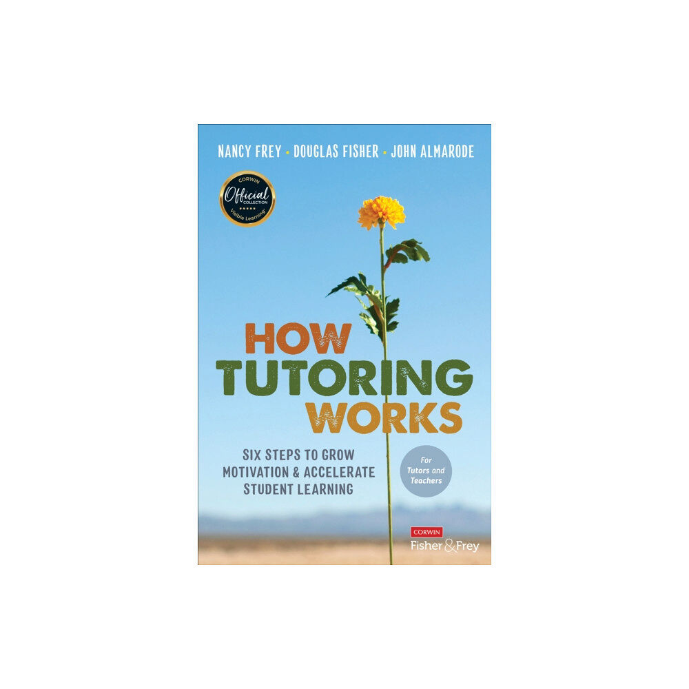Sage publications inc How Tutoring Works (häftad, eng)