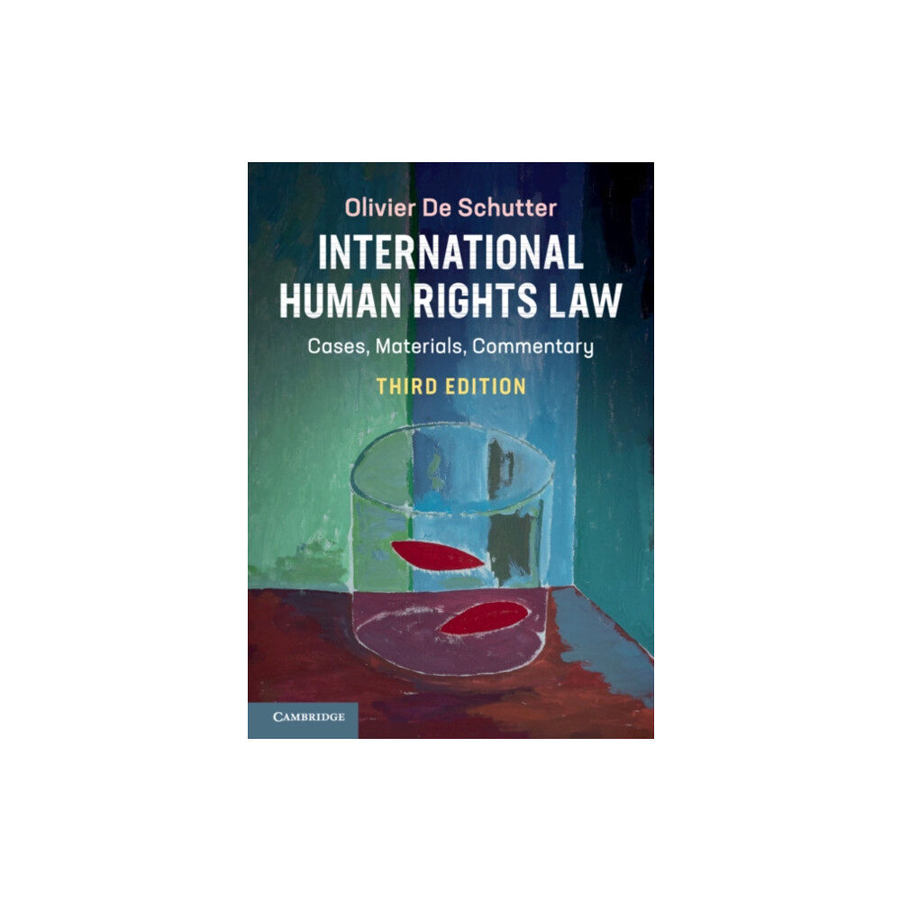 Cambridge University Press International Human Rights Law (häftad, eng)