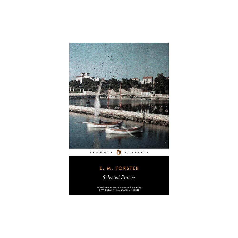 Penguin books ltd Selected Stories (häftad, eng)