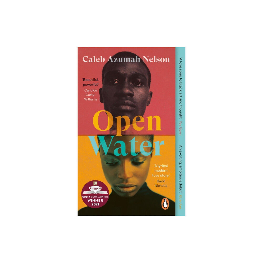 Penguin books ltd Open Water (häftad, eng)