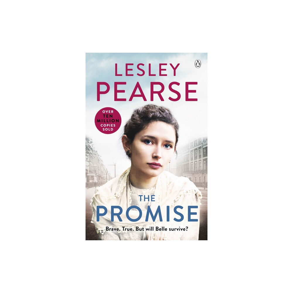 Penguin books ltd The Promise (häftad, eng)
