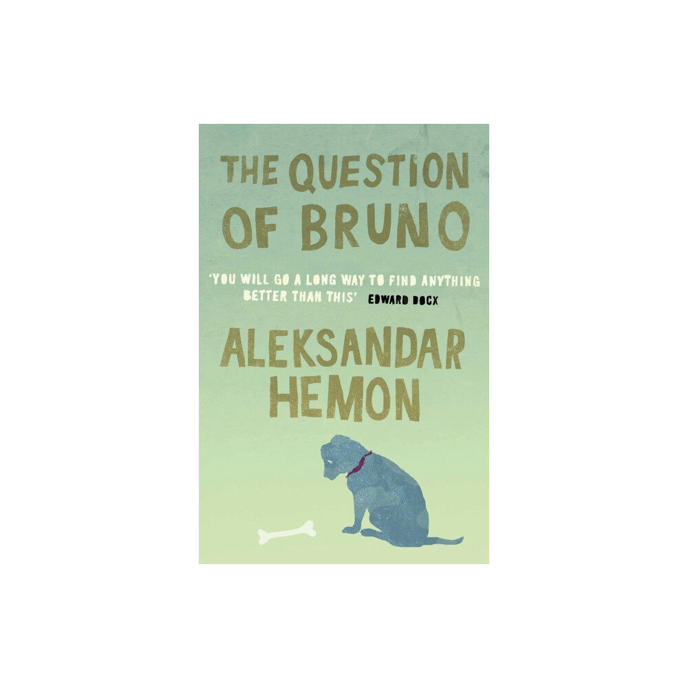 Pan Macmillan The Question of Bruno (häftad, eng)