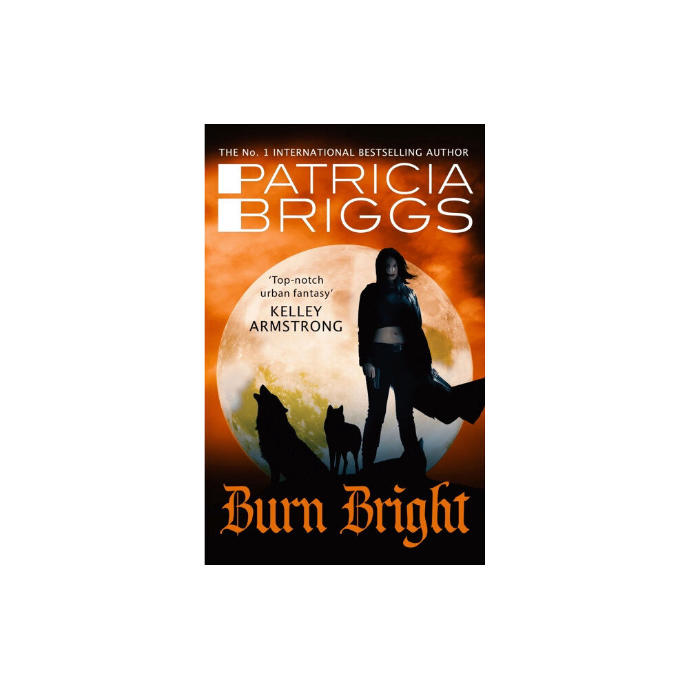 Little, Brown Book Group Burn Bright (häftad, eng)