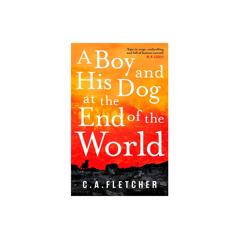 Little, Brown Book Group A Boy and his Dog at the End of the World (häftad, eng)