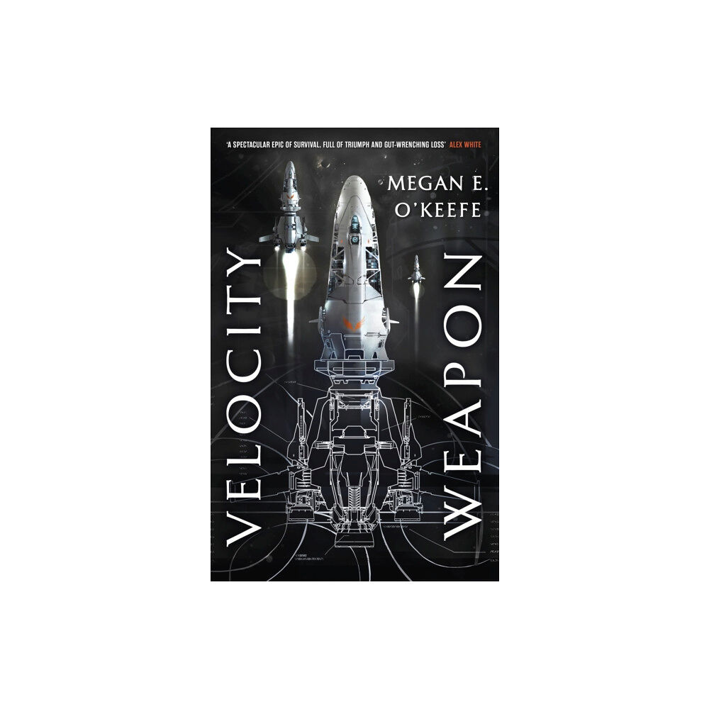 Little, Brown Book Group Velocity Weapon (häftad, eng)