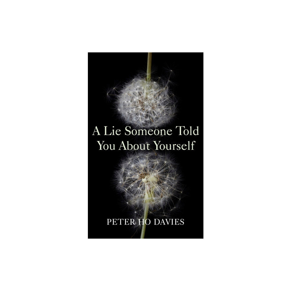 Hodder & Stoughton A Lie Someone Told You About Yourself (inbunden, eng)