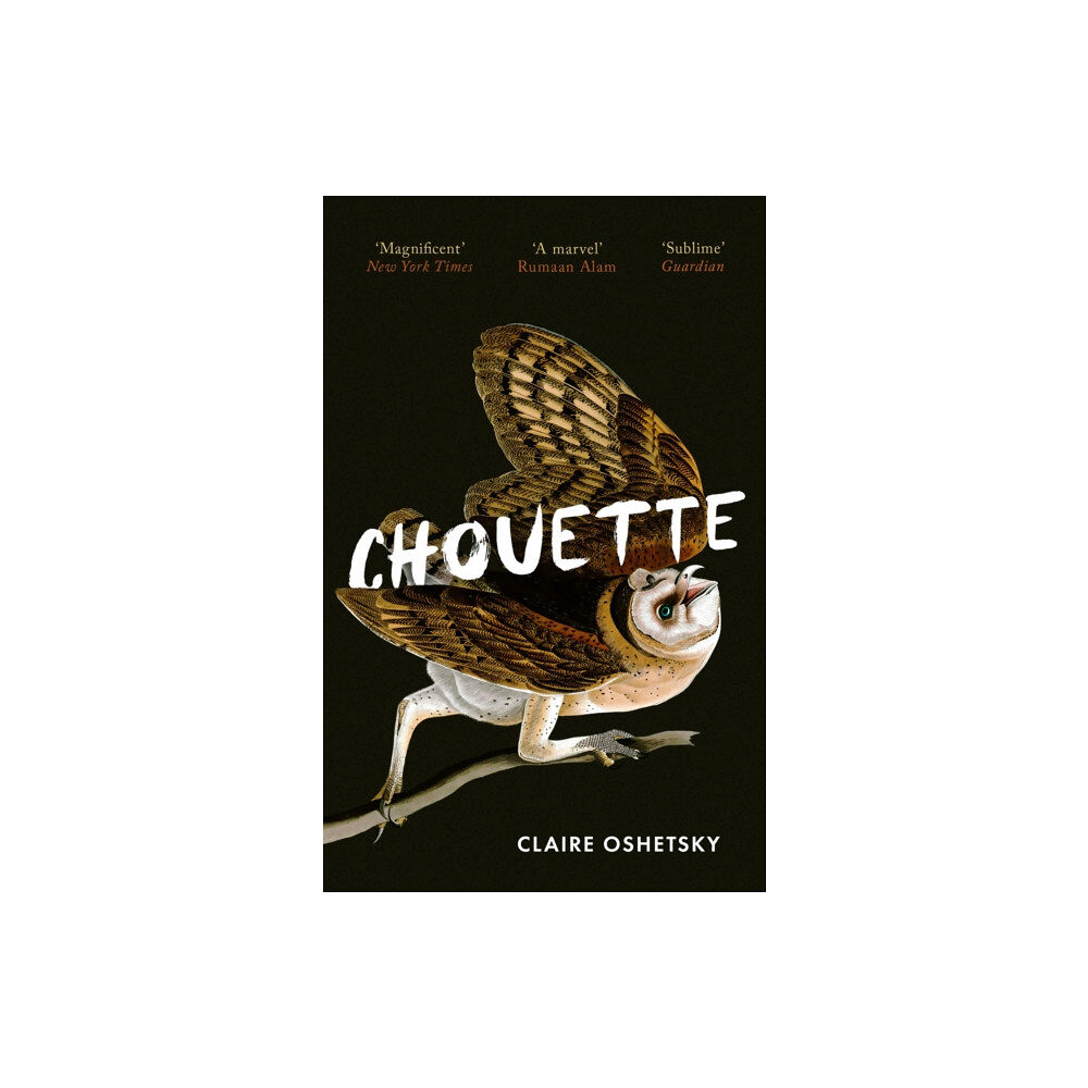 Little, Brown Book Group Chouette (häftad, eng)