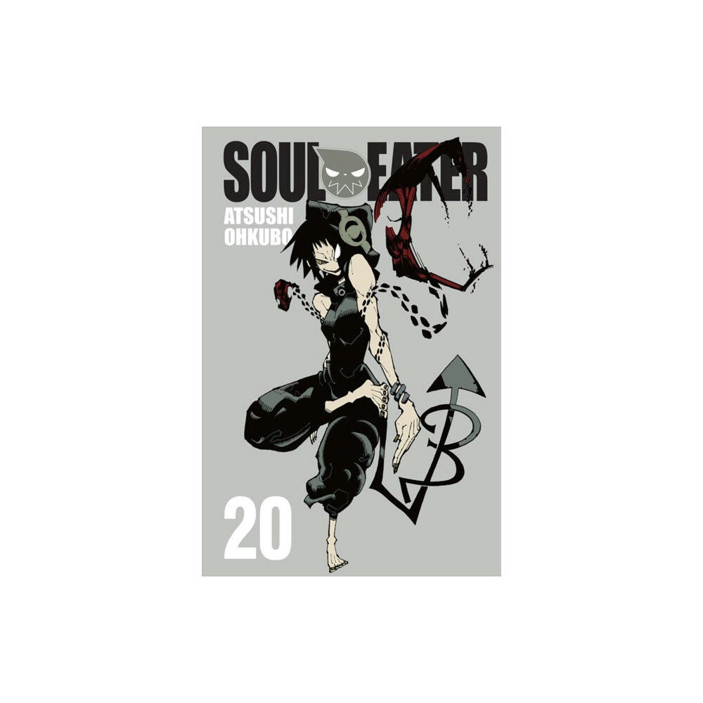 Little, Brown & Company Soul Eater, Vol. 20 (häftad, eng)