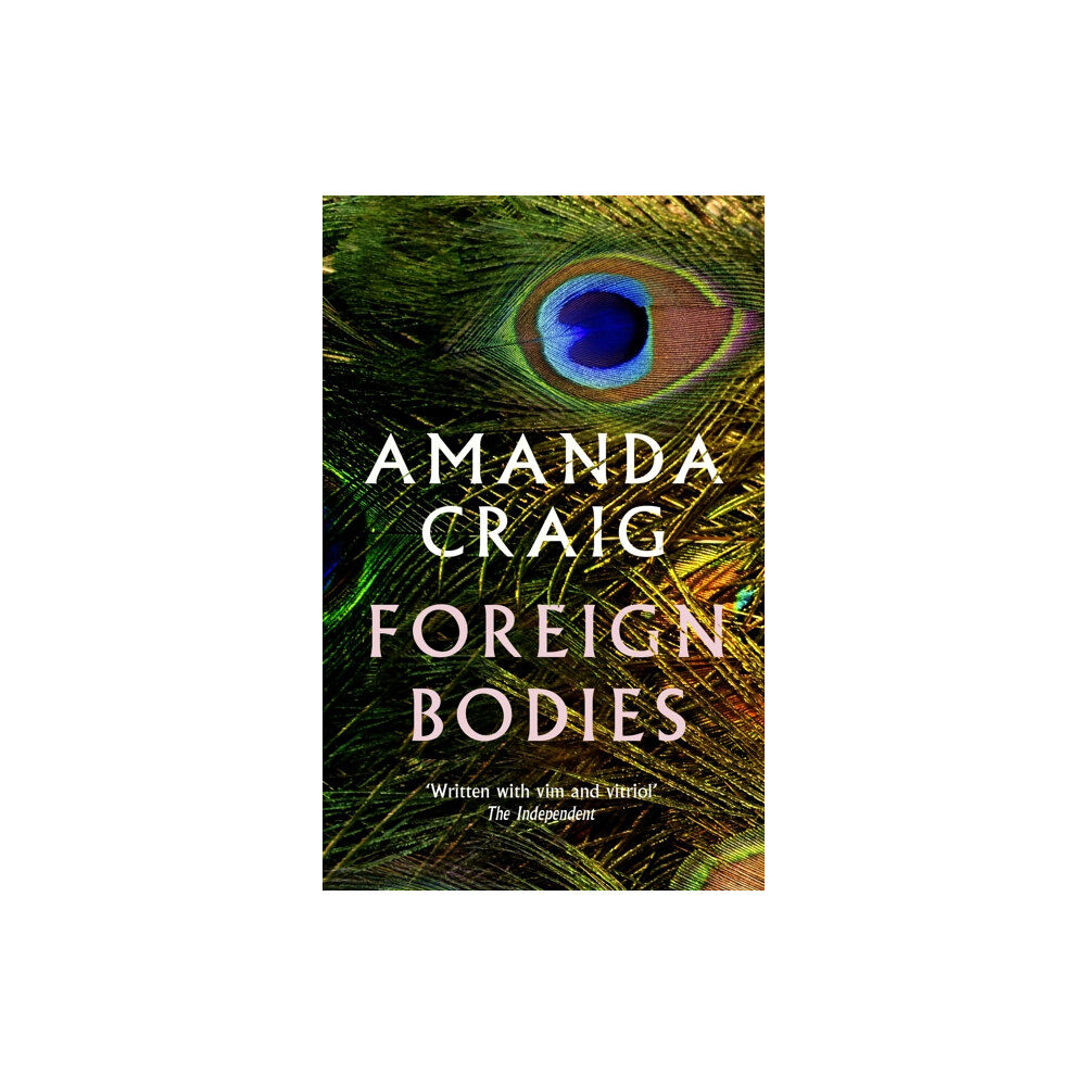 Little, Brown Book Group Foreign Bodies (häftad, eng)