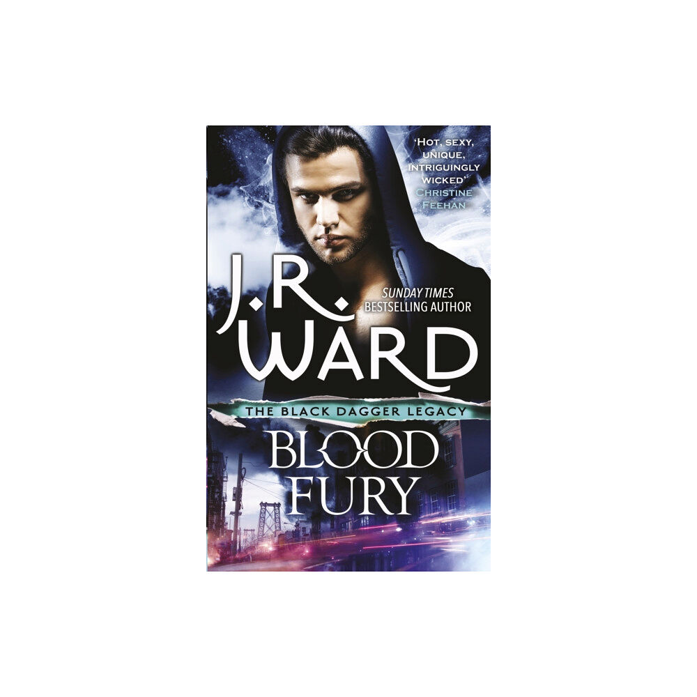 Little, Brown Book Group Blood Fury (häftad, eng)