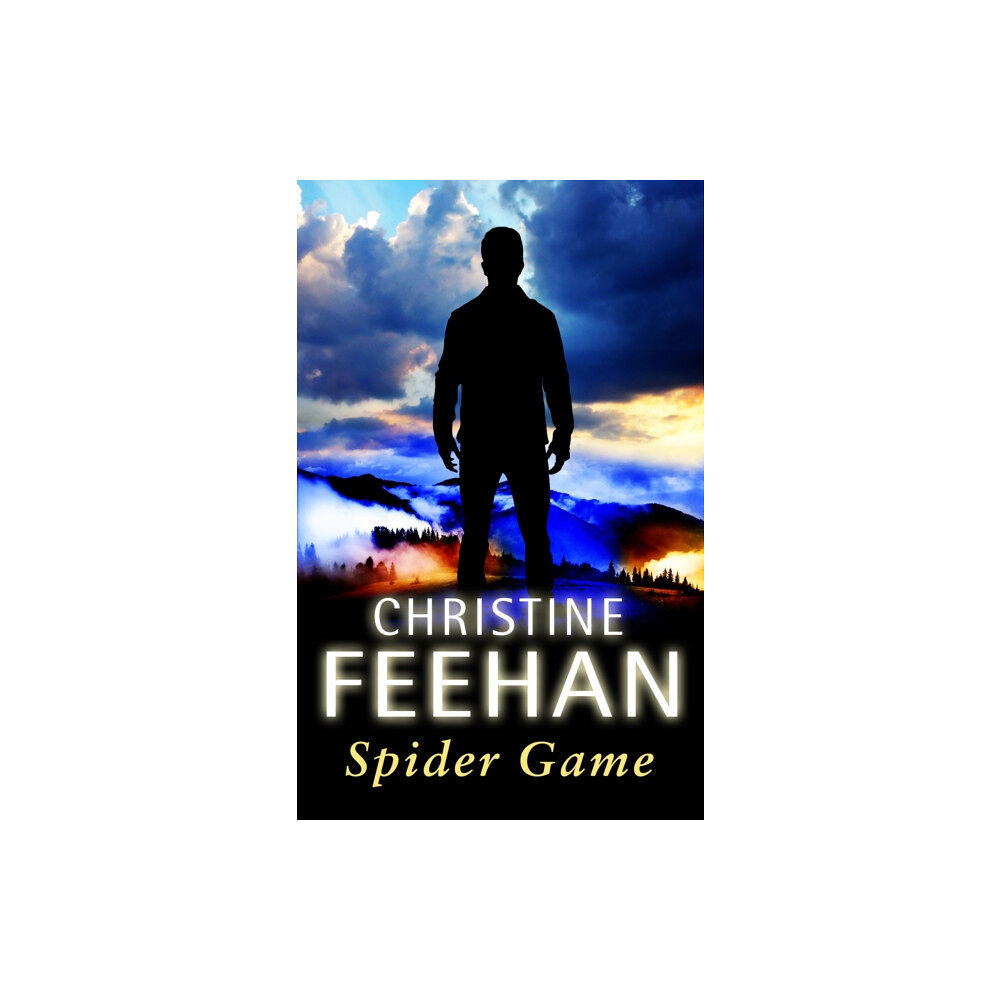 Little, Brown Book Group Spider Game (häftad, eng)