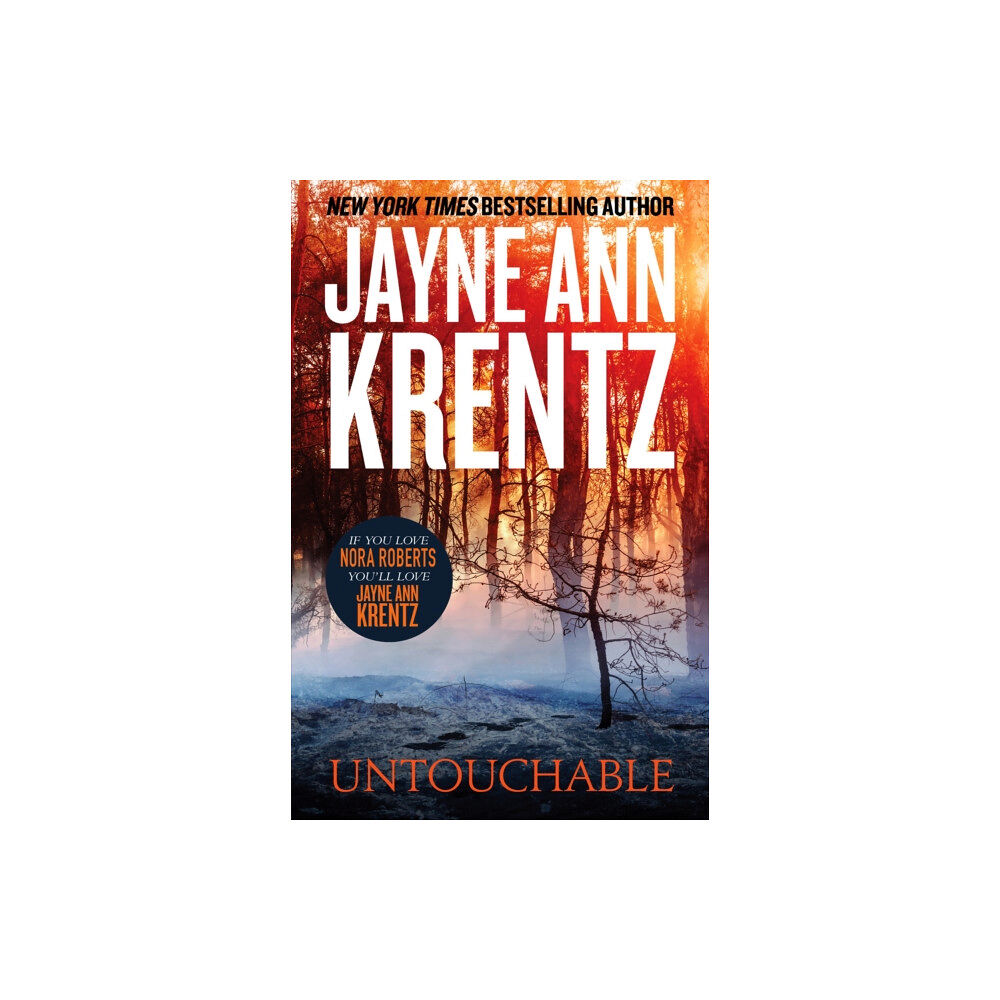 Little, Brown Book Group Untouchable (häftad, eng)