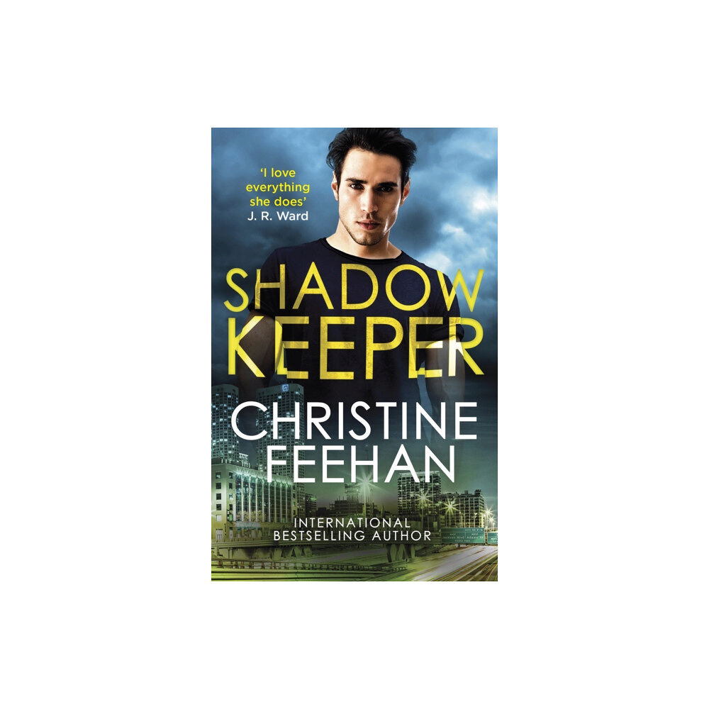 Little, Brown Book Group Shadow Keeper (häftad, eng)