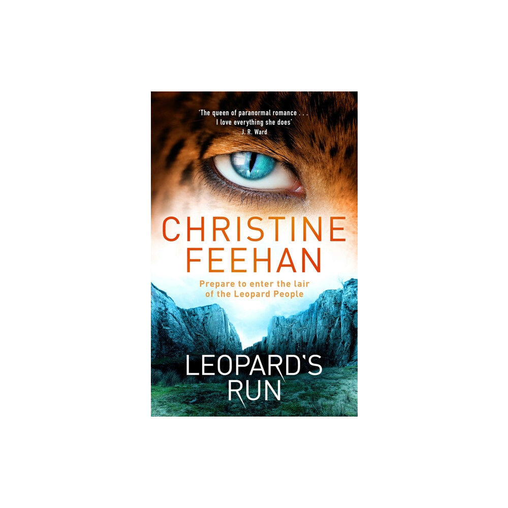 Little, Brown Book Group Leopard's Run (häftad, eng)