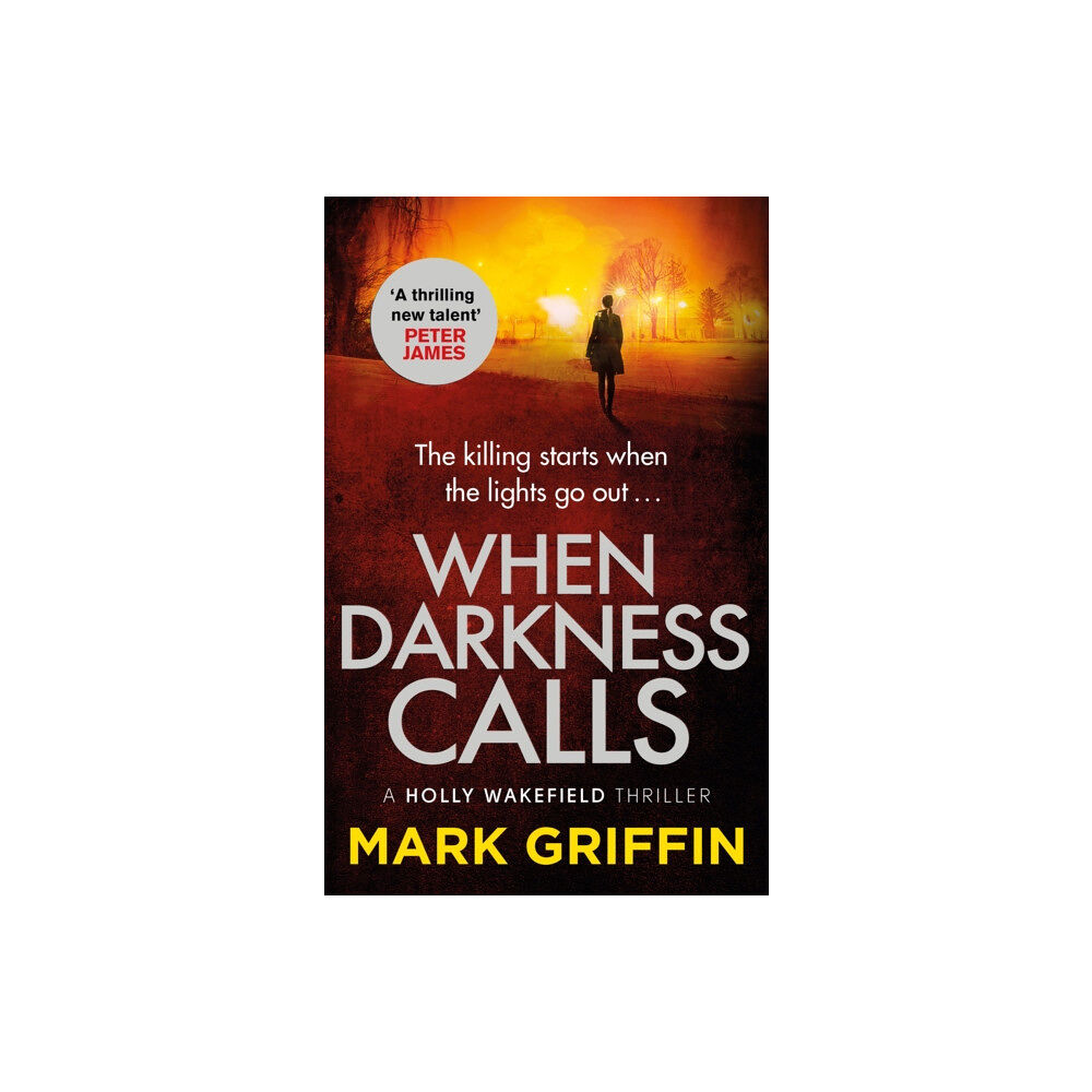 Little, Brown Book Group When Darkness Calls (häftad, eng)