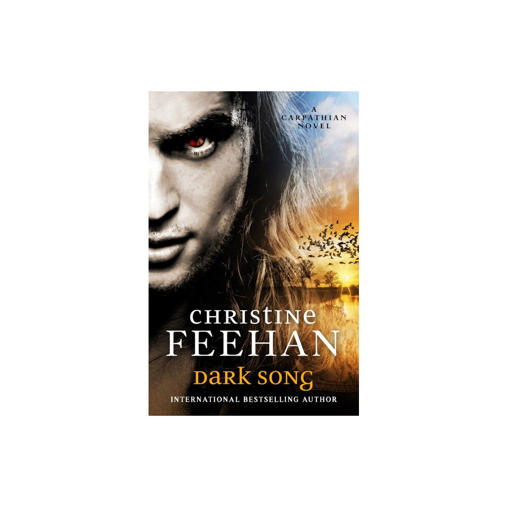 Little, Brown Book Group Dark Song (häftad, eng)