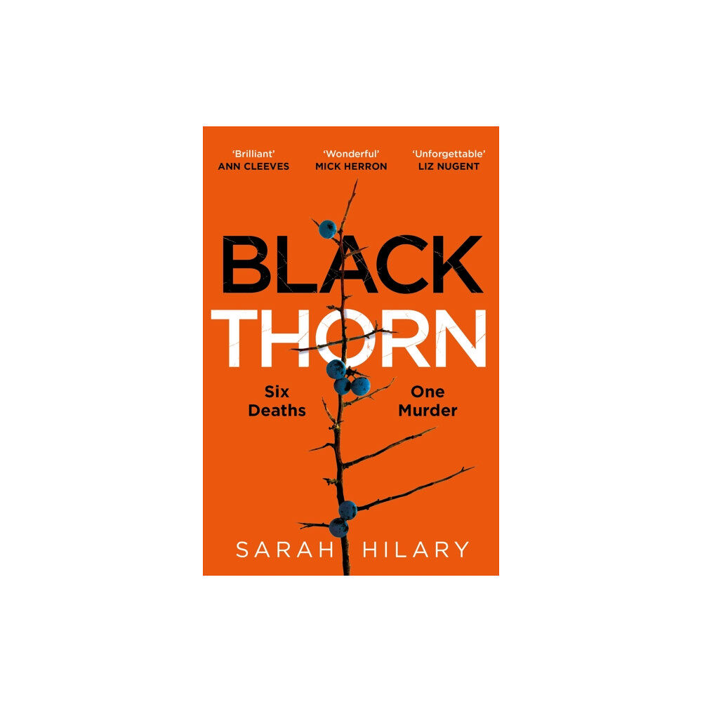 Pan Macmillan Black Thorn (häftad, eng)