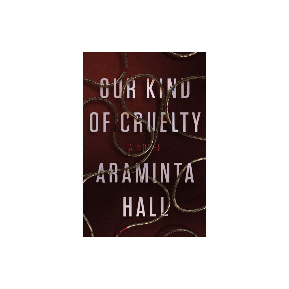 MACMILLAN USA OUR KIND OF CRUELTY (häftad, eng)