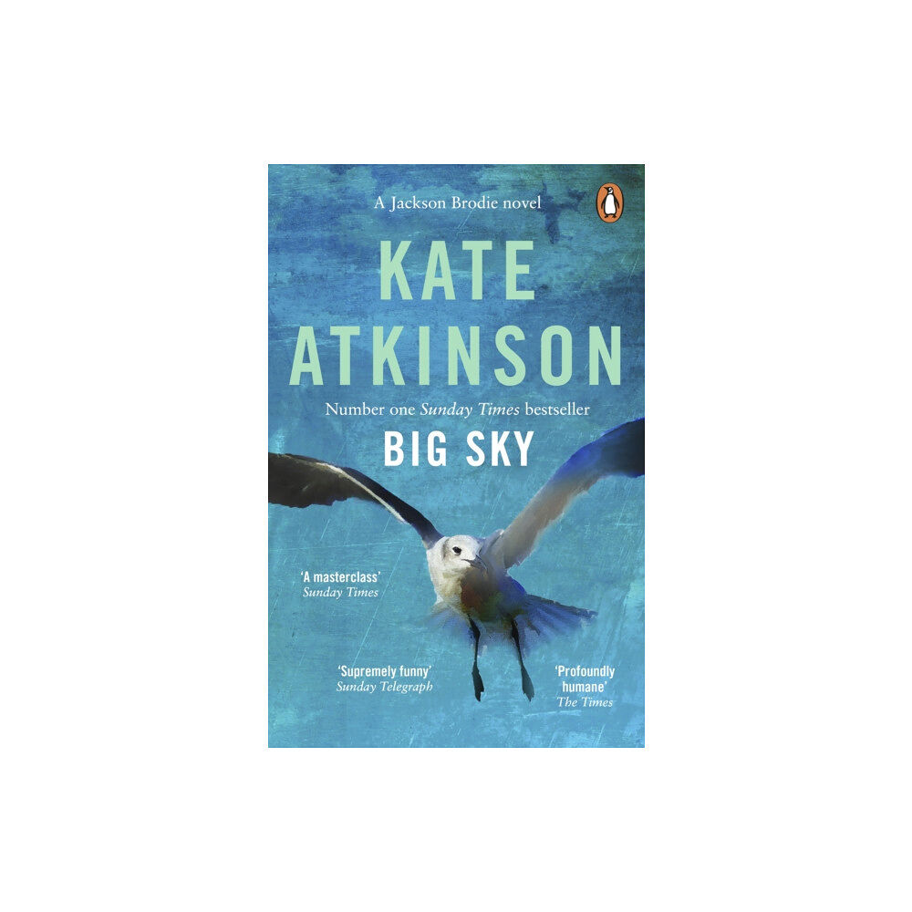 Transworld publishers ltd Big Sky (häftad, eng)