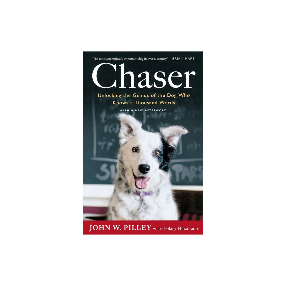 HarperCollins Chaser (häftad, eng)