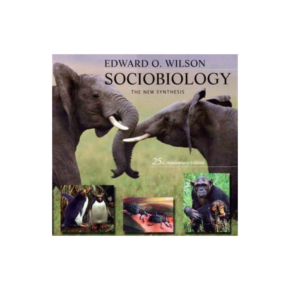 Harvard university press Sociobiology (häftad, eng)