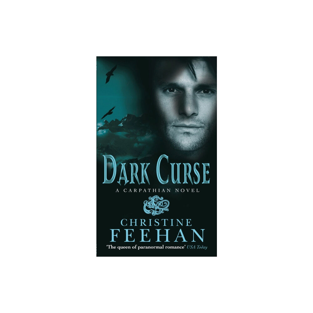 Little, Brown Book Group Dark Curse (häftad, eng)