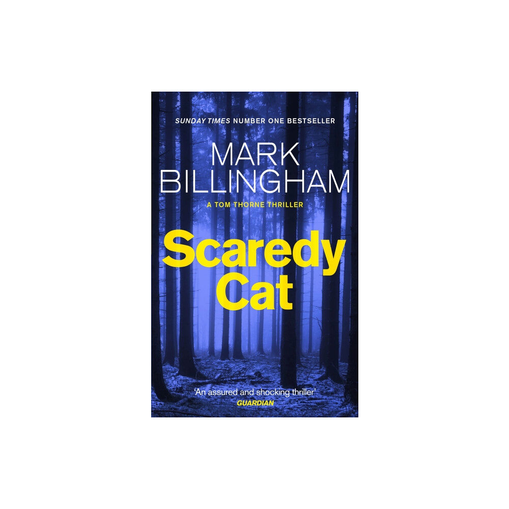 Little, Brown Book Group Scaredy Cat (häftad, eng)