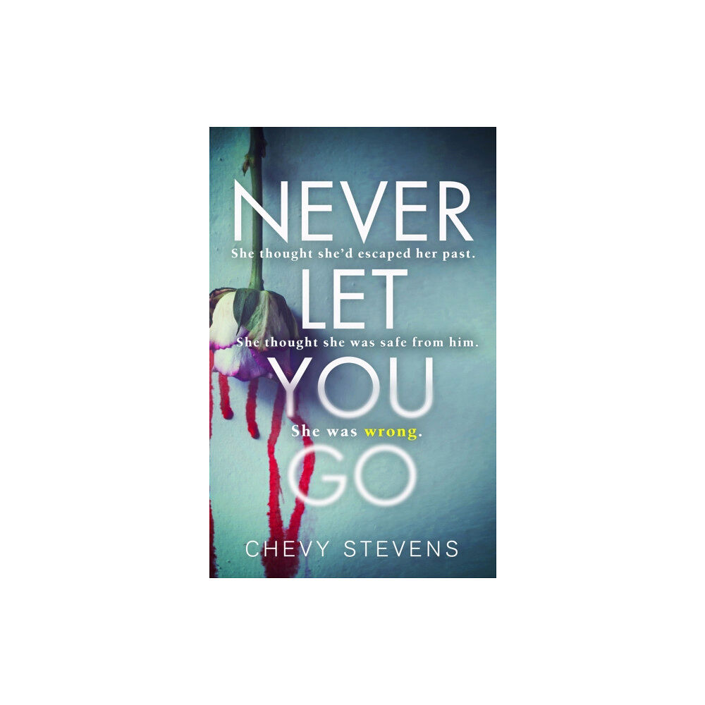 Little, Brown Book Group Never Let You Go (häftad, eng)