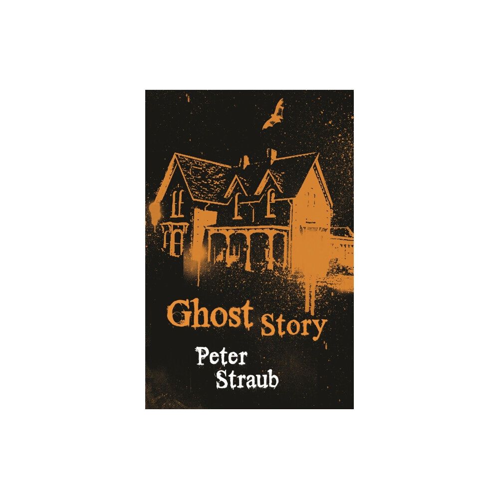 Orion Publishing Co Ghost Story (häftad, eng)