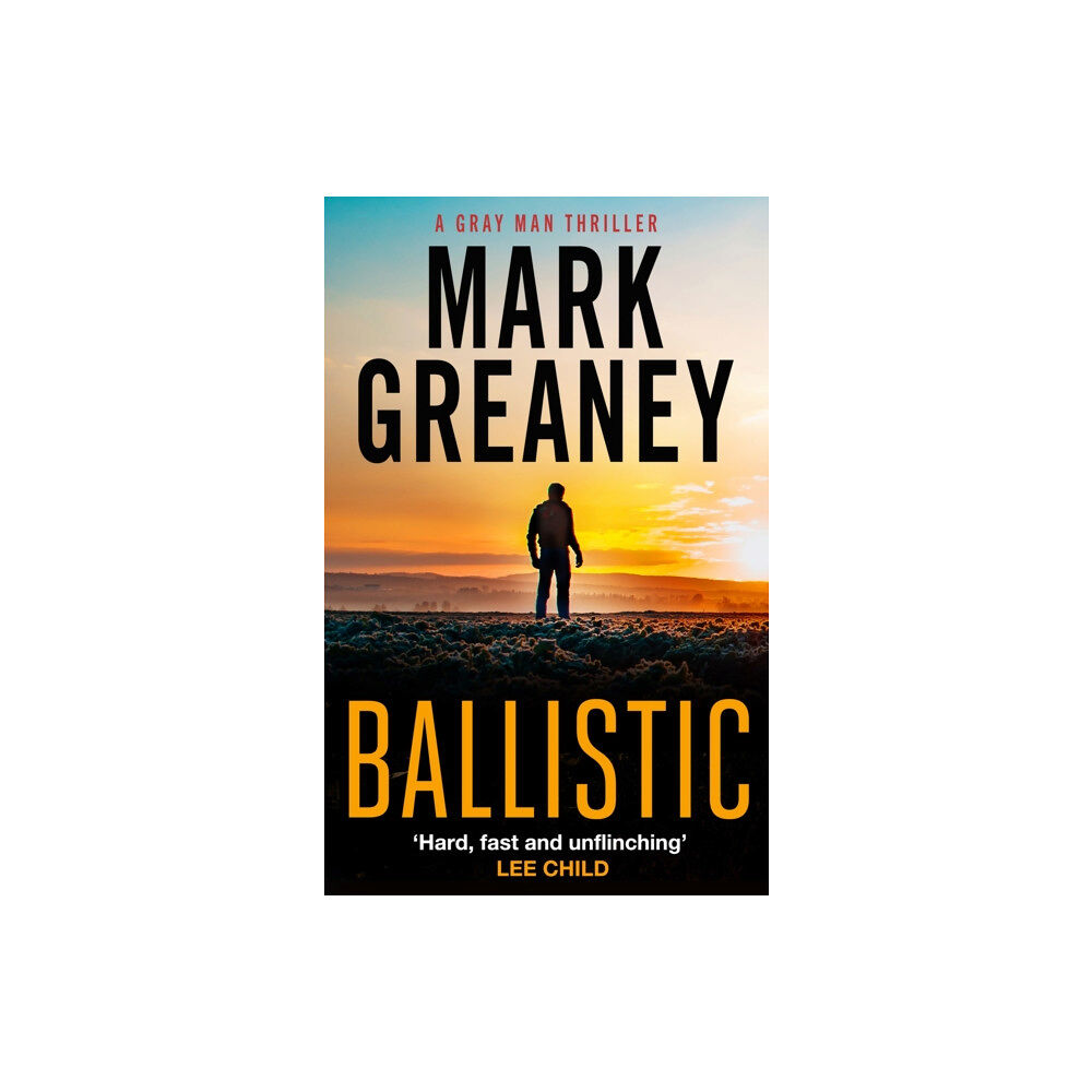 Little, Brown Book Group Ballistic (häftad, eng)