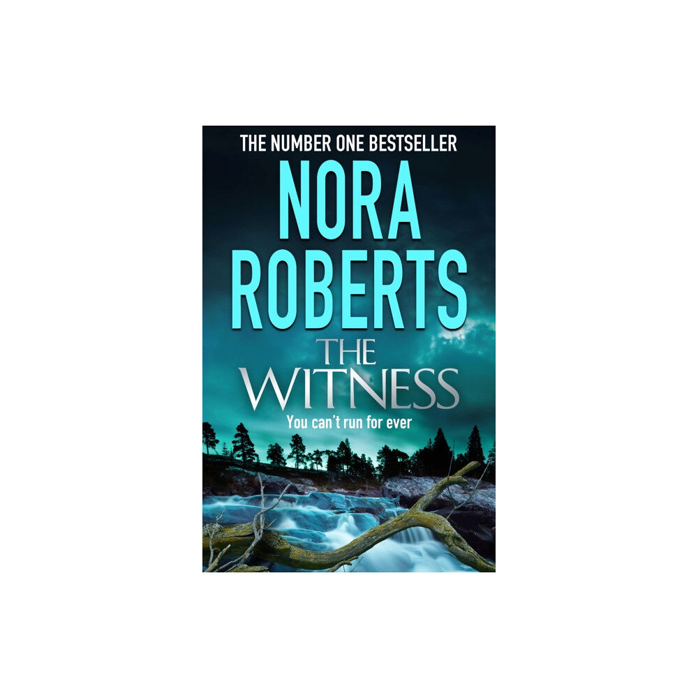 Little, Brown Book Group The Witness (häftad, eng)