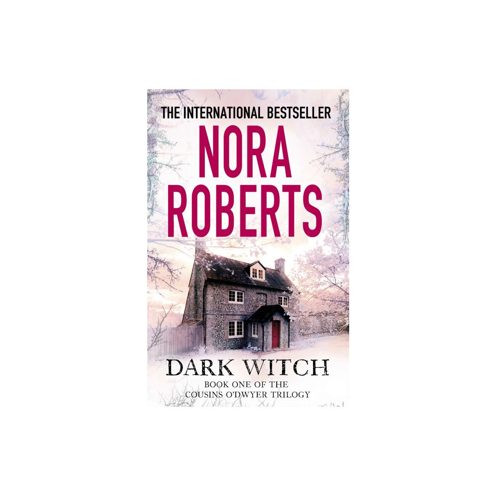 Little, Brown Book Group Dark Witch (häftad, eng)
