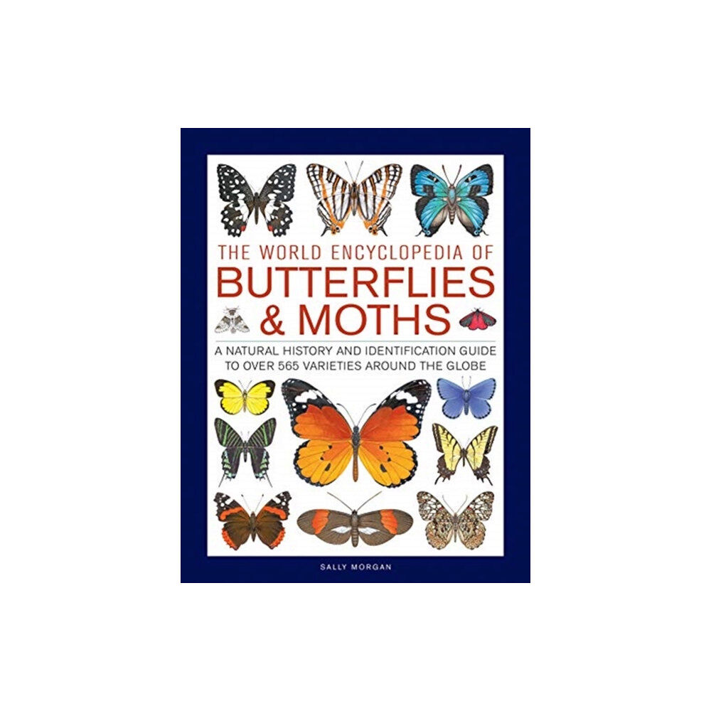 Anness publishing Butterflies & Moths, The World Encyclopedia of (inbunden, eng)